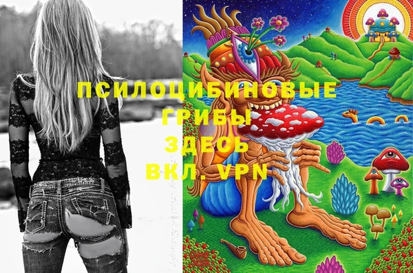 бутират Баксан
