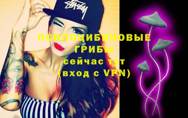 бутират Баксан